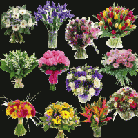 /album/galeria-de-fotos-monica-cerimonialista1/bouquet-215-1-gif/